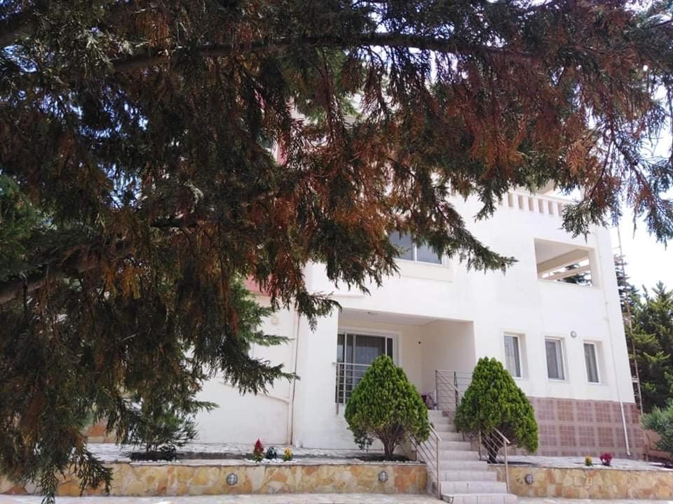 Treasures Apartment Paloukia