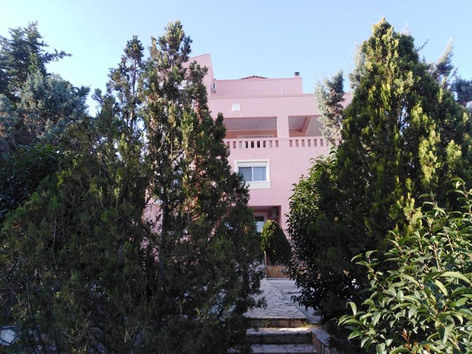 Treasures Paloukia